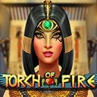Torch Of Fire screenshot